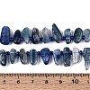 Natural Kyanite/Cyanite/Disthene Beads Strands G-Z091-A22-5