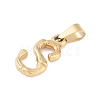 304 Stainless Steel Pendants STAS-F235-01G-S-2