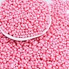 Baking Paint Glass Seed Beads X1-SEED-K010-A13-1