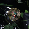 Alloy with Crystal Rhinestone Finger Rings FS-WG47CCC-03-2