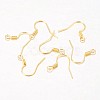 Iron Earring Hooks LS-X-E133-G-2