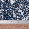 MIYUKI Delica Beads SEED-X0054-DB0693-4