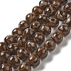 Freshwater Shell Beads Strands BSHE-L039-08B-09-1