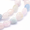 Natural Morganite Beads Strands G-K230-16-3