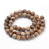 Natural Picture Jasper Beads Strands G-S259-27-6mm-2