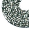 Frosted Natural Tree Agate Beads Strands G-K389-C15-01-3