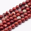 Natural Red Jasper Bead Strands G-K153-B19-10mm-1