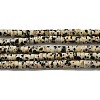 Natural Dalmatian Jasper Beads Strands G-E612-A01-B-1