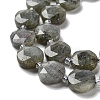 Natural Labradorite Beads Strands G-NH0004-001-4