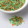 MIYUKI Delica Beads SEED-X0054-DB2066-1