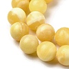 Natural Yellow Jade Beadd Strands G-A274-A01-14mm-4