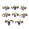Natural Amethyst Pet Collar Charms HJEW-PH01731-1