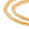 Transparent Glass Beads Strands GLAA-C019-01A-18-3
