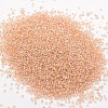 8/0 Round Glass Seed Beads SEED-J017-F8-672-2
