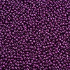 11/0 FGB Grade A Round Glass Seed Beads SEED-N001-A-1056-2