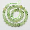 Natural Prehnite Beads Strands X-G-G457-6mm-03-2