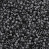 MIYUKI Delica Beads X-SEED-J020-DB2406-2