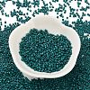 Baking Paint Glass Seed Beads X-SEED-S042-05B-67-2