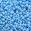 TOHO 6/0 Round Beads X-SEED-TR06-0403F-4