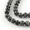 Natural Larvikite Round Beads Strands X-G-R342-8mm-09-2