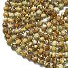 Natural Picture Jasper Beads Strands G-K389-E12-01-3