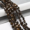 Natural Bronzite Beads Strands G-G084-D13-01-2