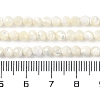 Natural Shell Beads Strands SSHEL-E571-38B-4mm-5