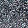MIYUKI Round Rocailles Beads SEED-X0055-RR2444-3