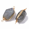 Natural Labradorite Links connectors G-T131-04A-3