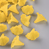 Transparent Acrylic Beads BSF796-C09-1