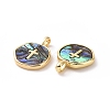 Natural Abalone Shell/Paua Shell Pendants KK-C004-11G-01-2