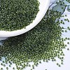 MIYUKI Round Rocailles Beads X-SEED-G007-RR0350-1