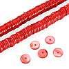 1 Strand Natural Freshwater Shell Beads Strands SHEL-TA0001-35C-2