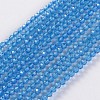 Glass Beads Strands EGLA-E057-02B-09-1