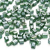6/0 Glass Seed Beads SEED-YW0001-25F-1