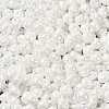 6/0 Glass Seed Beads X1-SEED-M012-01A-16-3