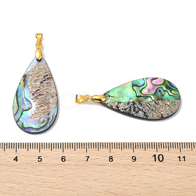 Natural Paua Shell/Abalone Shell Pendants PALLOY-JF05570-1