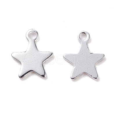 304 Stainless Steel Charms STAS-H436-51S-1