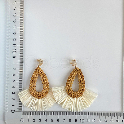 Teardrop with Fan Alloy Rattan Clip-on Earrings FS-WGFEF3F-03-1