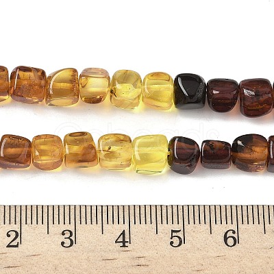 Natural Amber Beads Strands G-L095-E01-02-1