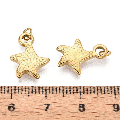 304 Stainless Steel Pendants STAS-N115-06G-1
