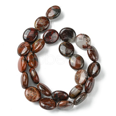 Natural Brecciated Jasper Beads Strands G-K365-B20-03-1