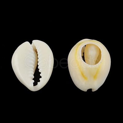 Natural Mixed Cowrie Shell Beads BSHE-S051-01-1