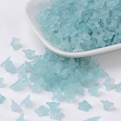 Transparent Acrylic Beads X-PL554-11-1