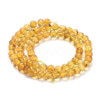 Natural Amber Beads Strands G-K308-C01-6mm-1