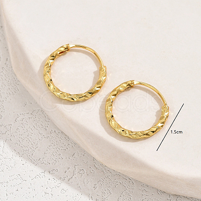 Fashionable Casual Brass Hoop Earrings XY7128-1