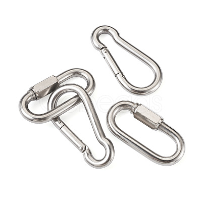 6Pcs 2 Style 304 Stainless Steel Rock Climbing Carabiners STAS-TA0001-33P-1