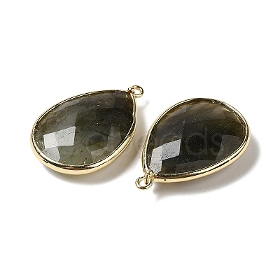 Faceted Natural Labradorite Pendants G-M356-B02-LG-1