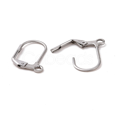 Tarnish Resistant Original Color Stainless Steel Leverback Earring Findings X-STAS-E007-6-1