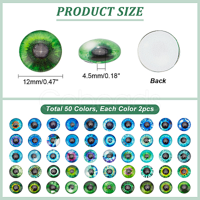 1 Bag Flatback Glass Cabochons GGLA-PH0001-56-1
